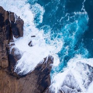 Meet your Posher, Donovan